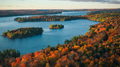 Camping In Ontario Canada: 12 Best Campgrounds Worth Visiting